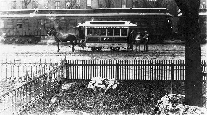 usr_m_dca_nosasw_horse29_1880s_bv_ctc10.jpg